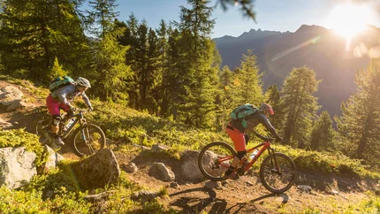 Zwei Mountainbiker fahren auf einem Waldweg mit Sonnenuntergang