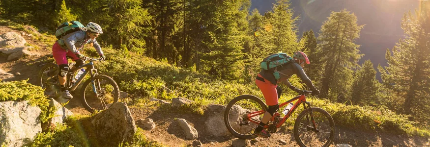 Two mountain bikers riding on a forest trail at sunset