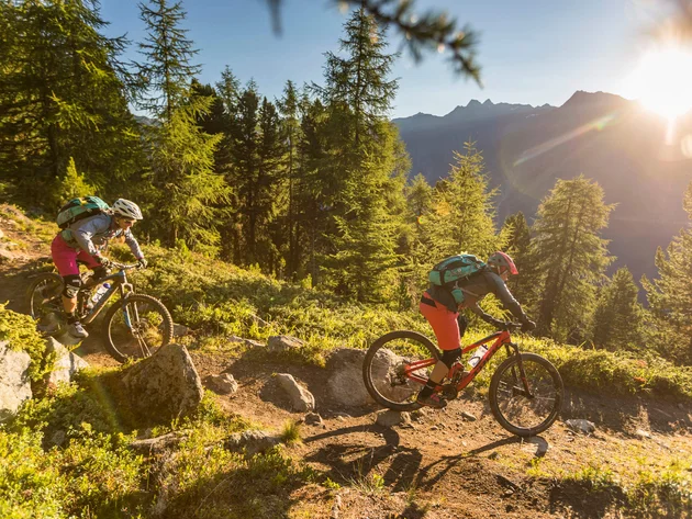 Zwei Mountainbiker fahren auf einem Waldweg mit Sonnenuntergang