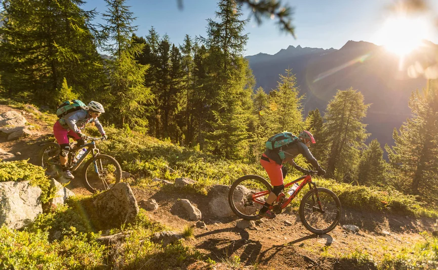 Two mountain bikers riding on a forest trail at sunset