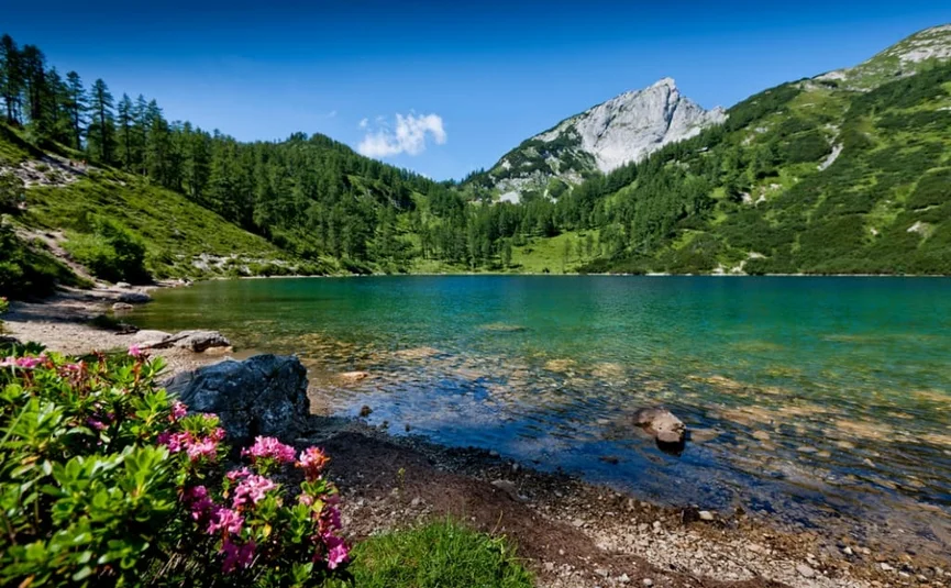Mountain lake with clear blue water surrounded by green forests and rocky peaks