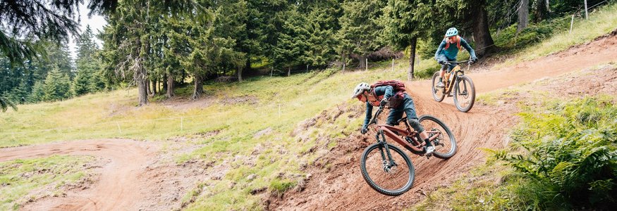 Zwei Mountainbiker fahren einen kurvigen Waldweg hinunter