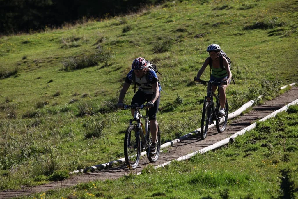 Twee fietsers rijden over een smal pad door een groene wei