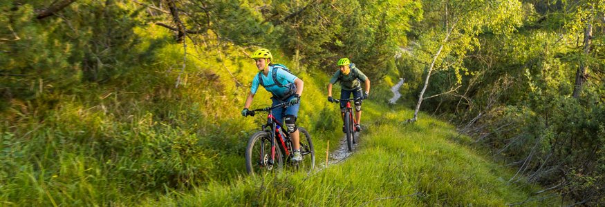 Zwei Radfahrer fahren auf einem schmalen Pfad durch eine grüne, bergige Landschaft