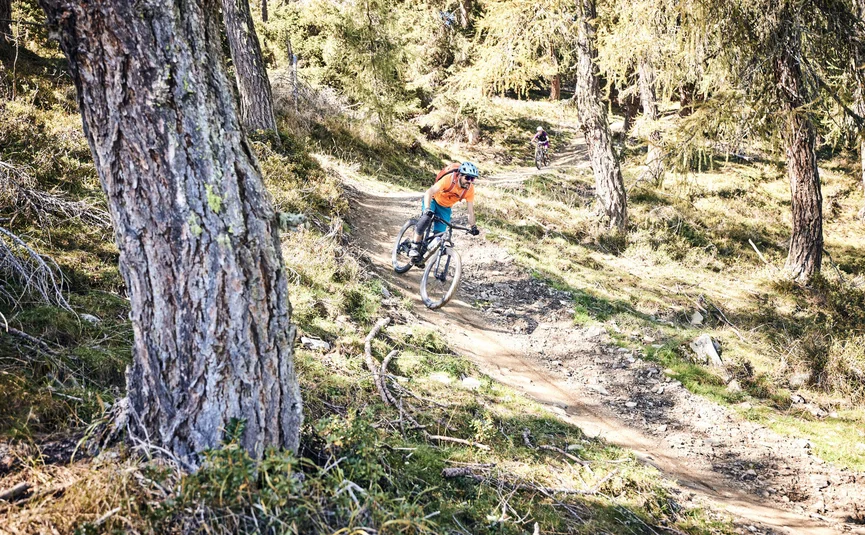 Mountainbiker fahren auf Waldweg in sonniger Landschaft