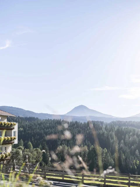 Hotel Maria mit Balkonblumen vor bewaldeten Bergen im Sonnenschein