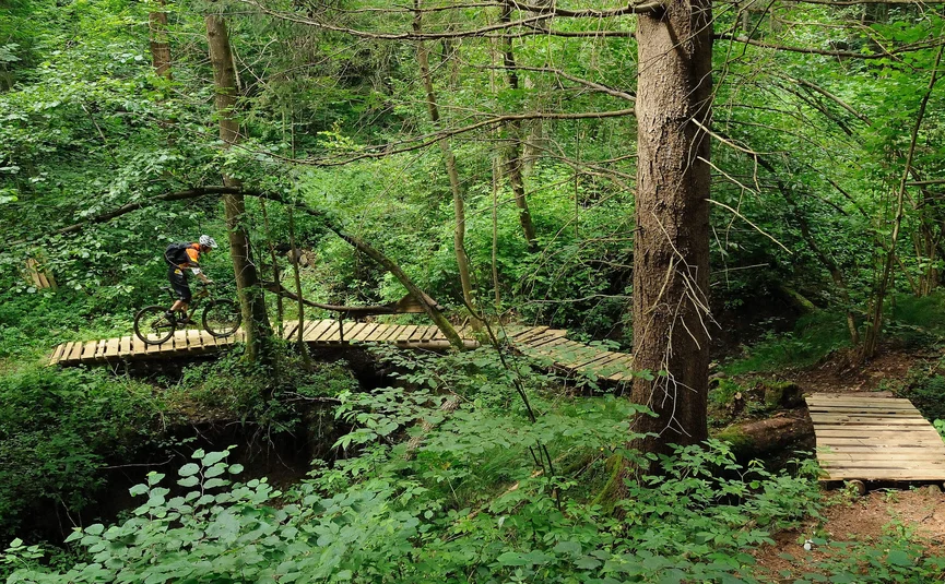 Mountainbiker fährt über Holzbrücke im grünen Wald