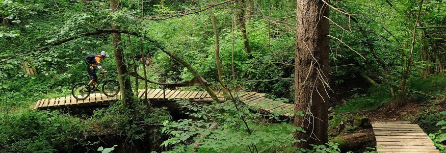 Mountainbiker op houten brug in weelderig groen bos