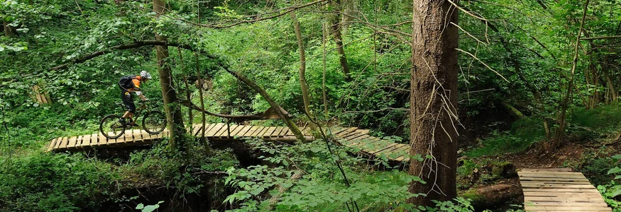 Mountainbiker fährt über Holzbrücke im grünen Wald
