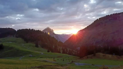 Zonsopgang tussen beboste bergen en groene weiden met grazende koeien