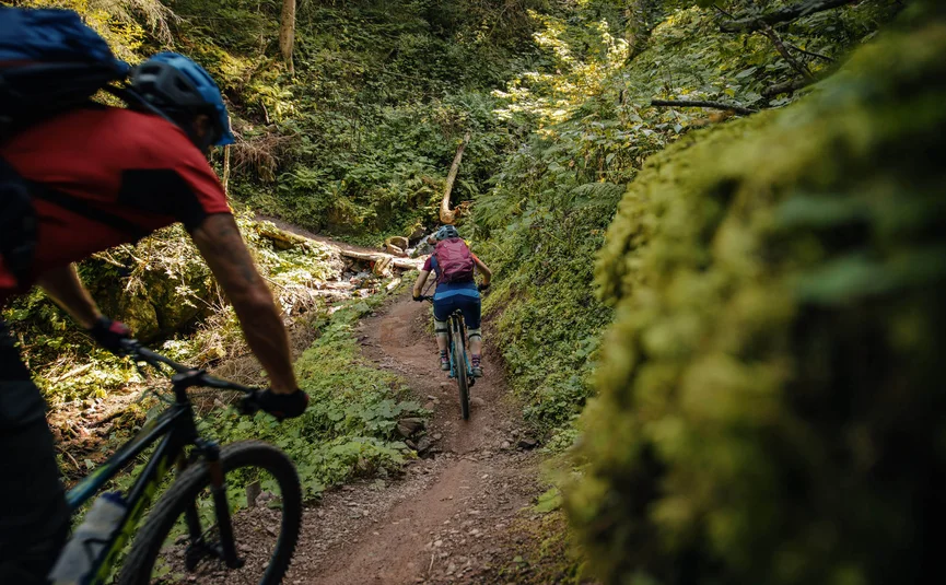 Hahnenkamm Trail © Felix Saller Zwei Mountainbiker fahren einen schmalen Waldweg hinauf