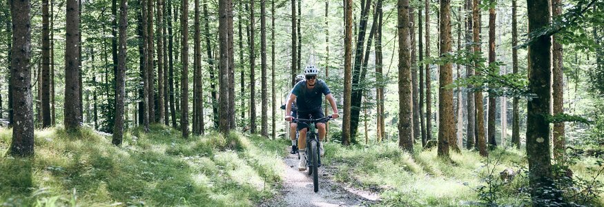 Augst Trail © Tobias Köhler Zwei Mountainbiker fahren auf einem Waldweg durch grüne Bäume