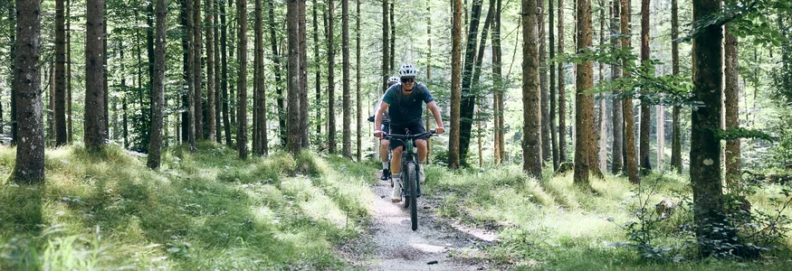 Two mountain bikers riding on a forest trail surrounded by green trees
