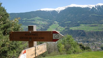 Keschtnweg