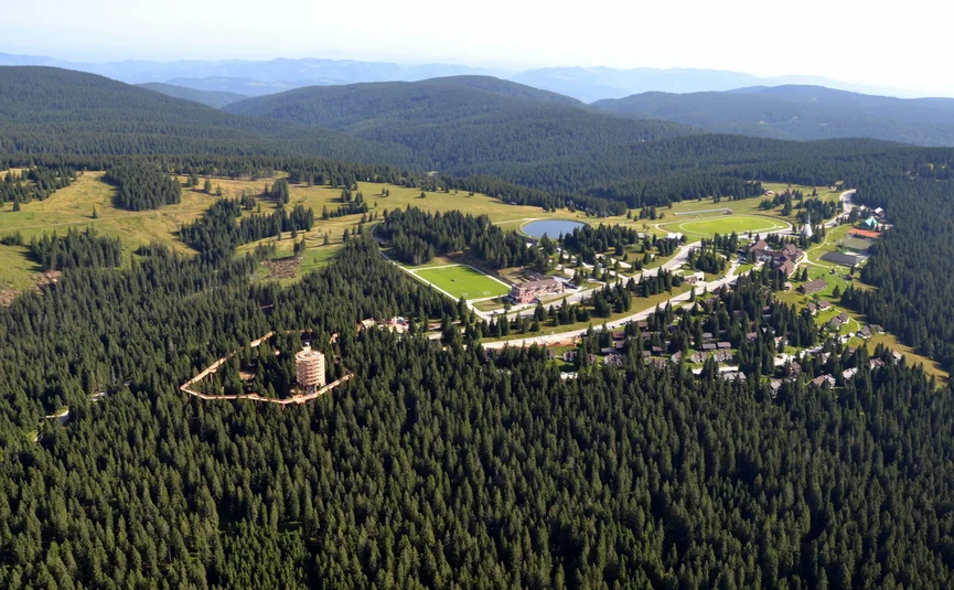 Luchtfoto van bos met wandelpad en gebouwen