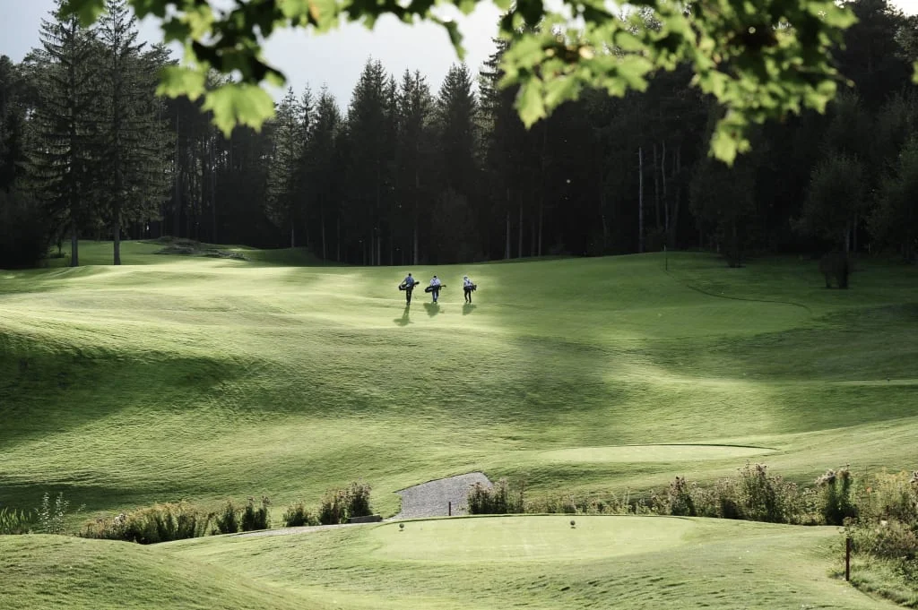 Three golfers walking on a sunny golf course with forest in the background