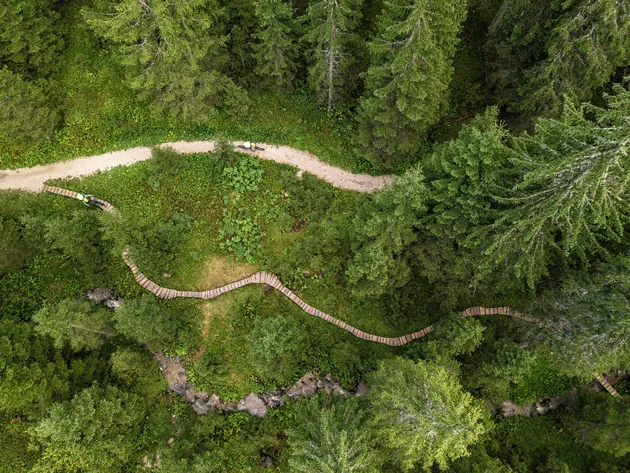 Drone view of forest path with cyclists on wooden bridge