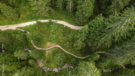Drohnenaufnahme von Waldweg mit Radfahrern über Holzsteg