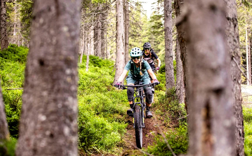 Two women mountain biking on a forest trail