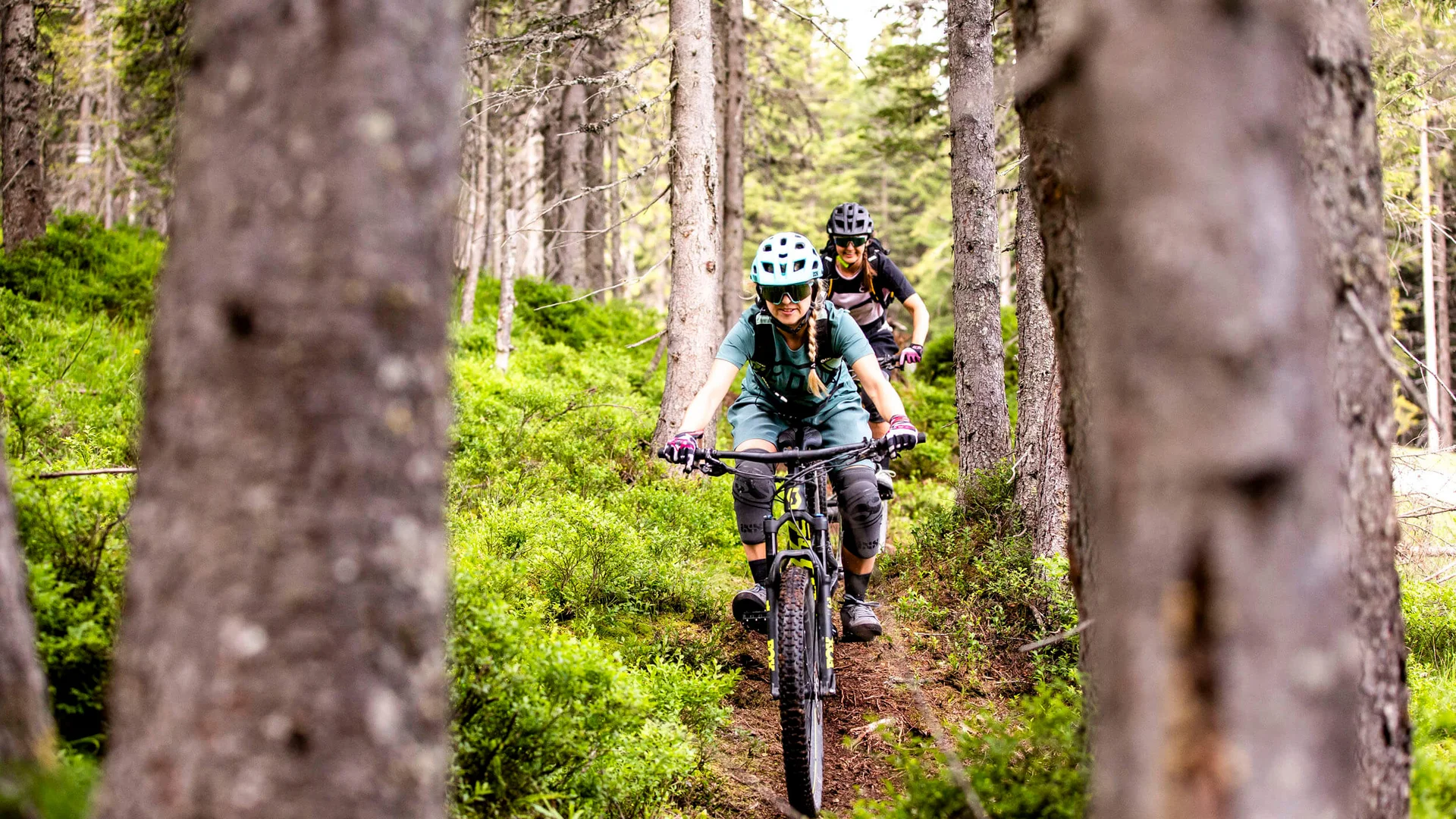 Zwei Frauen fahren Mountainbike auf einem Waldweg