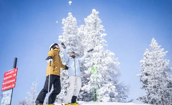 Two skiers in front of snow-covered trees and red directional signs