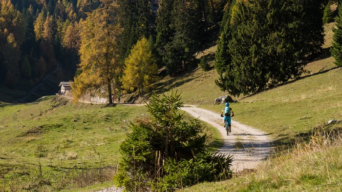 Fahrradfahrer auf Waldweg bei Herbstwäldern und Hütte