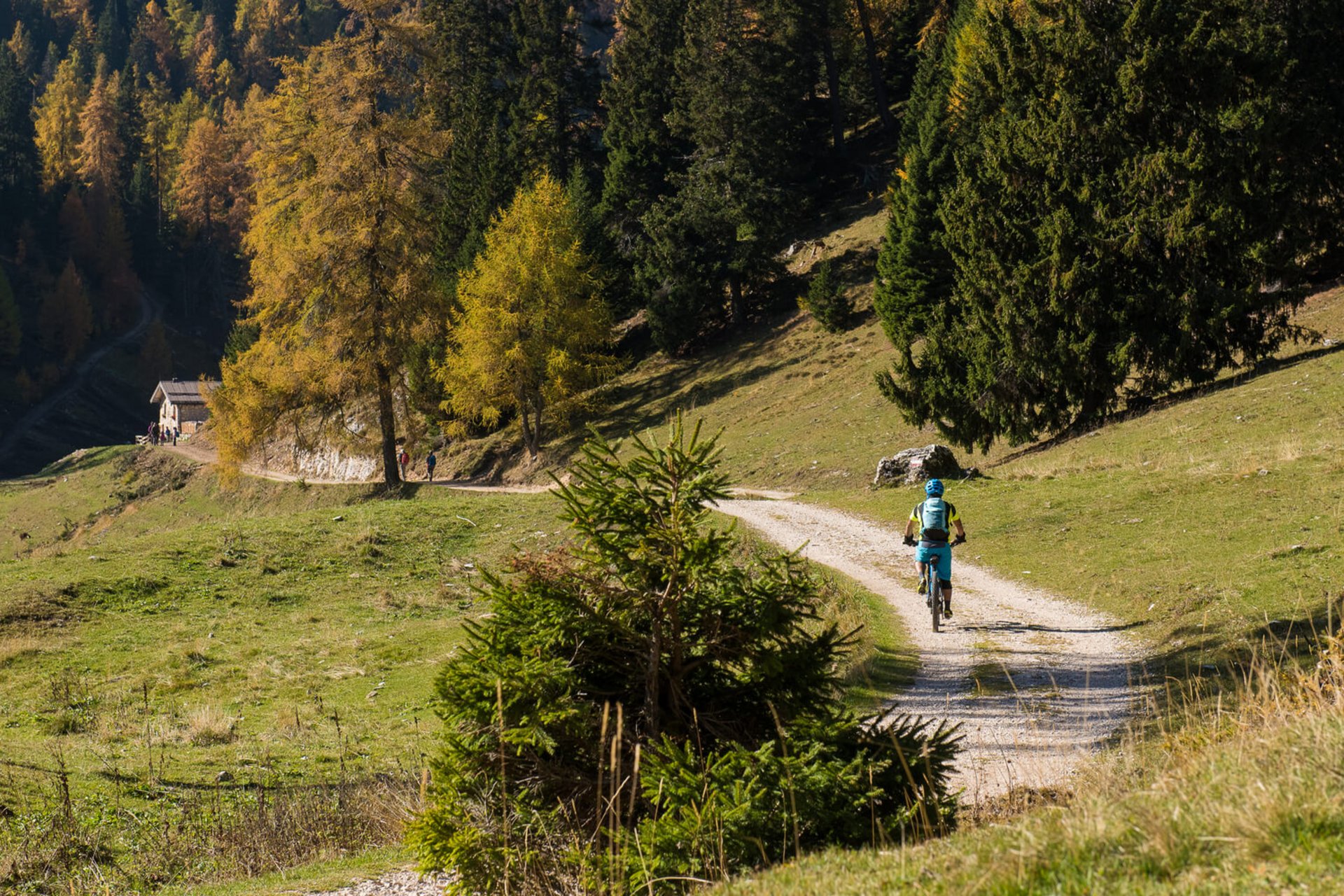 Cyclist on forest trail with autumn trees and cabin