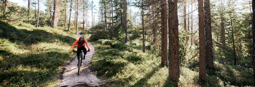 Mountainbiker rijdt op een smal bospad in zonlicht