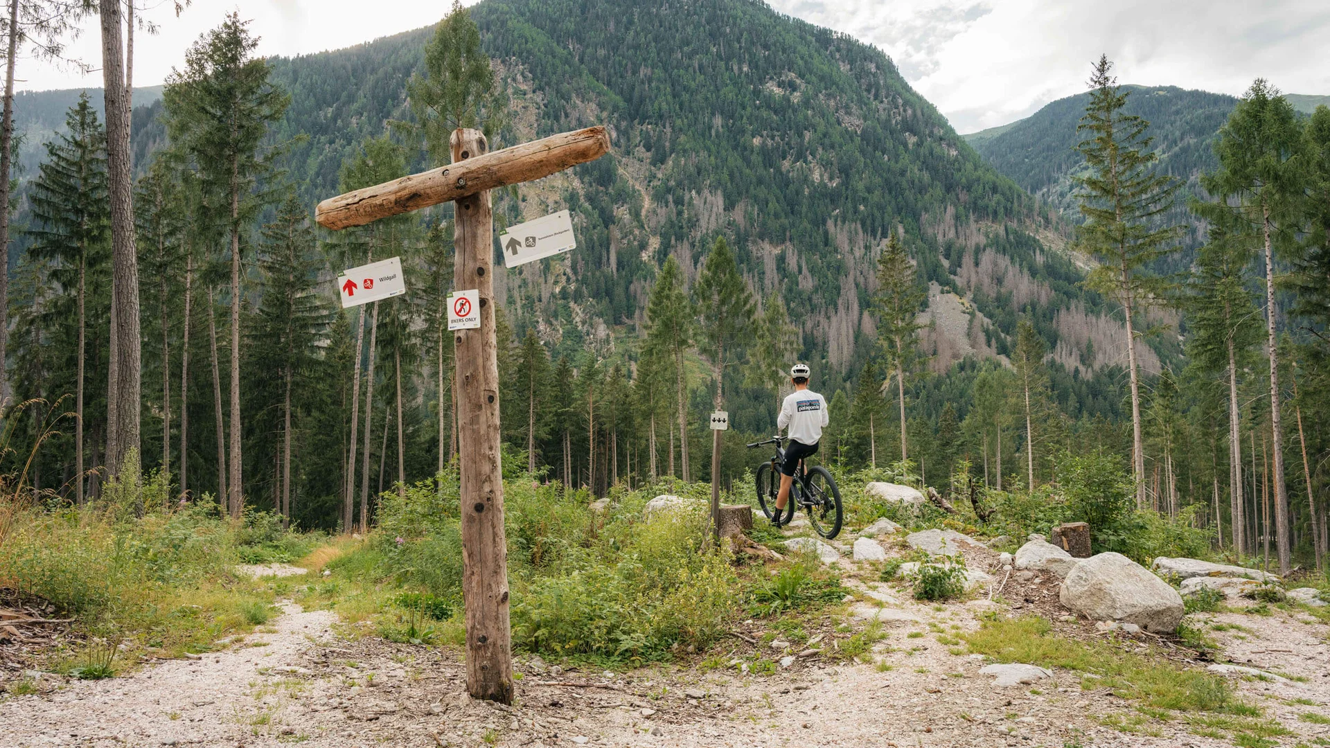 Mountainbiker steht an Wegweiser im Wald mit Berg im Hintergrund