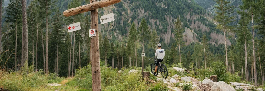 Kronplatz Dolomites region © Tourist Info Antholzertal - Josef Plaickner Mountain biker at trail signpost in forest with mountain backdrop
