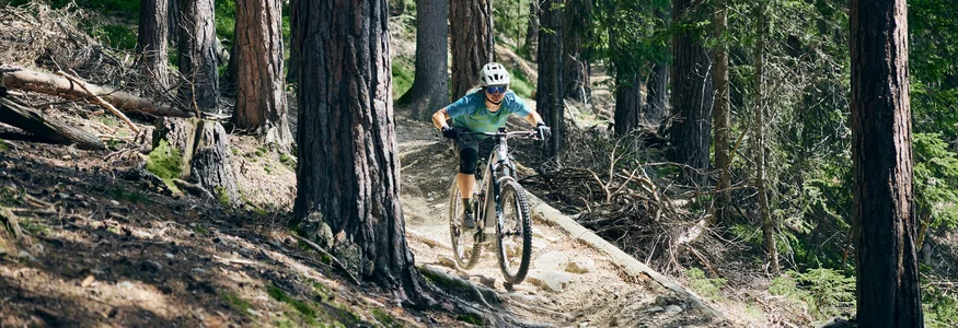 Mountainbiker fährt auf engem Waldweg zwischen hohen Bäumen
