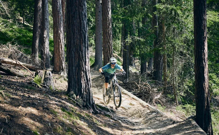 Mountainbiker fährt auf engem Waldweg zwischen hohen Bäumen