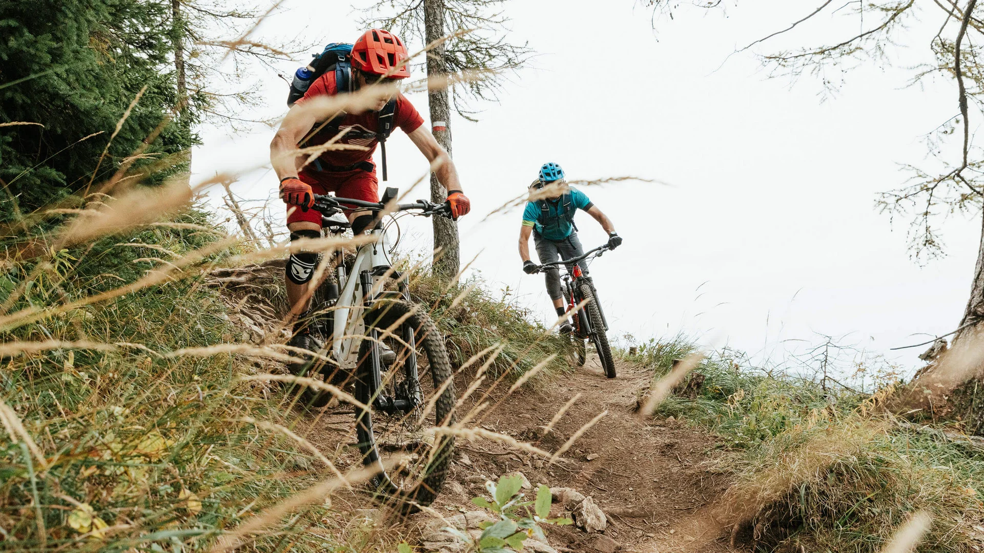 Zwei Mountainbiker fahren einen Waldweg bergab