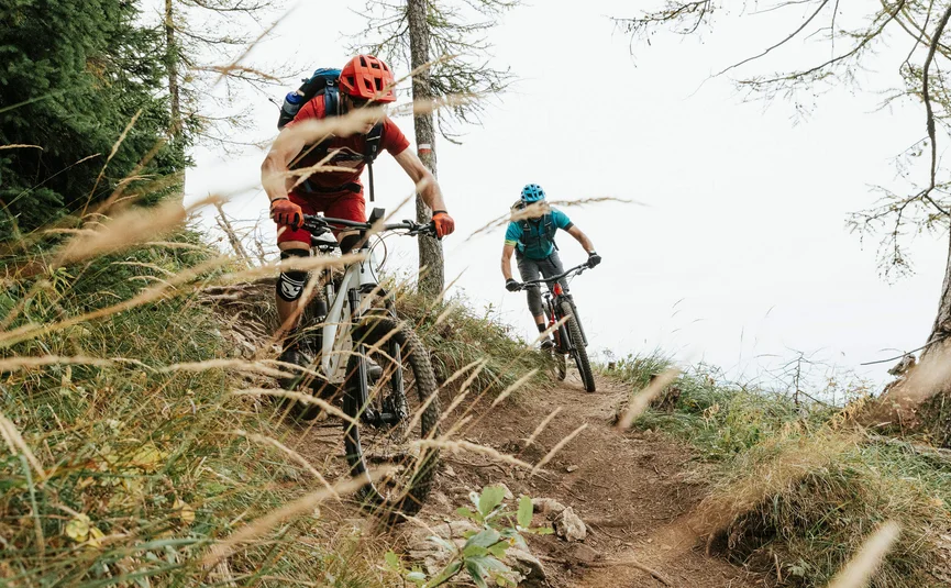 Two mountain bikers riding downhill on a forest trail