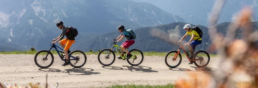 Three cyclists riding on mountain trail with Alps in background