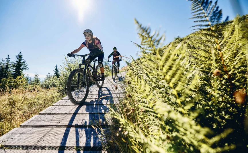 Twee mountainbikers fietsen over een houten pad in zonnige natuur