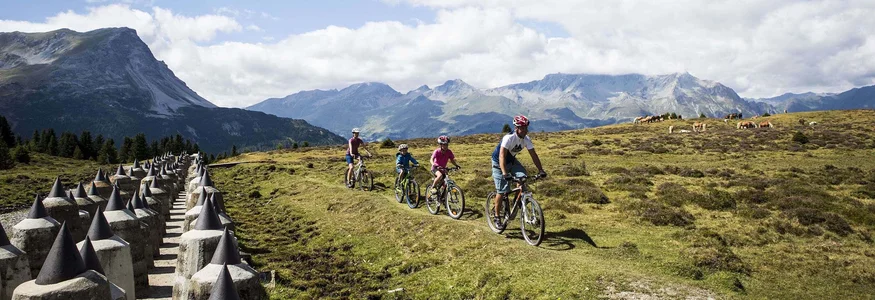 Familie fährt mit Mountainbikes auf Bergweg mit Alpen im Hintergrund