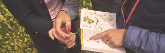 Herbs & Flow