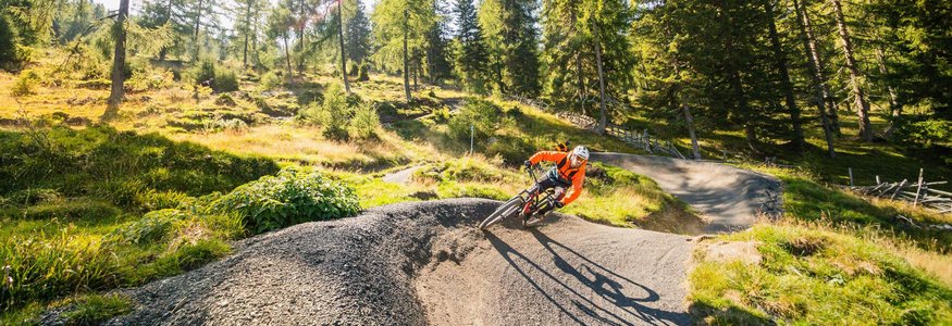 Bike Boutique Hotel Lindenhof **** © Martin Hofmann Mountainbiker fährt auf Waldtrail bei sonnigem Wetter