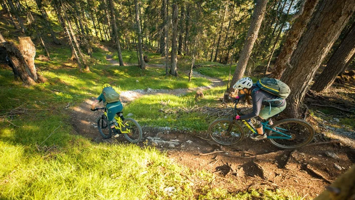 Two mountain bikers riding downhill on narrow forest trail