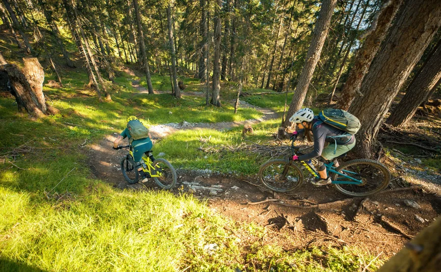 Zwei Mountainbiker fahren auf schmalem Waldweg bergab