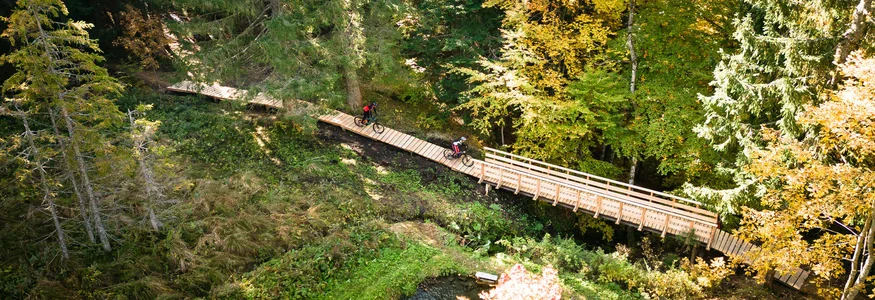Two mountain bikers on a wooden bridge in autumn forest