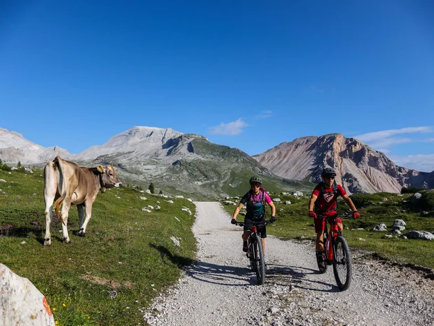 Ein Herbst-Wochenende in San Vigilio © Norman Bielig Zwei Mountainbiker auf Bergweg mit Kuh und Bergen im Hintergrund