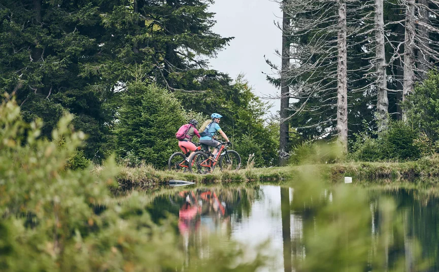 Two cyclists riding by a forest lake