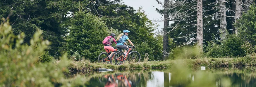 Zwei Fahrradfahrer fahren am Waldrand an einem See entlang
