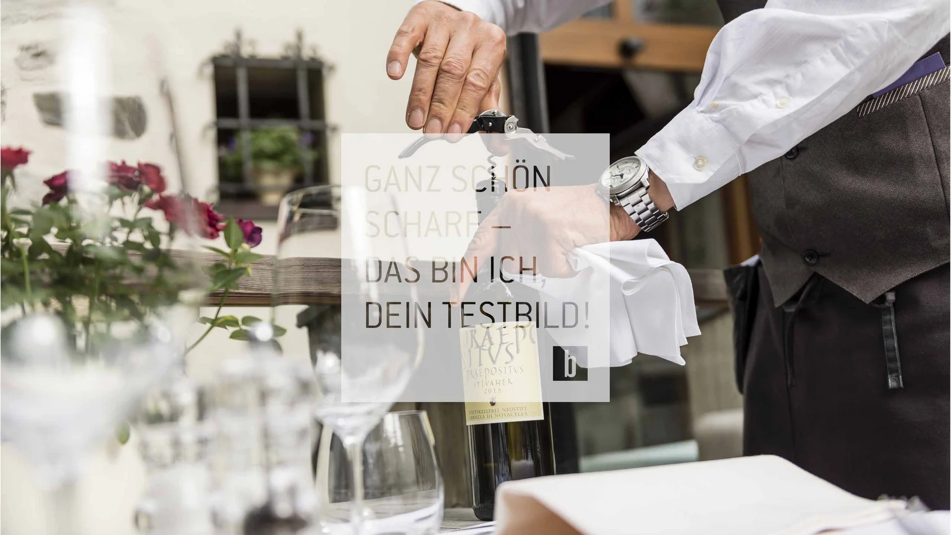 Wein Wein
