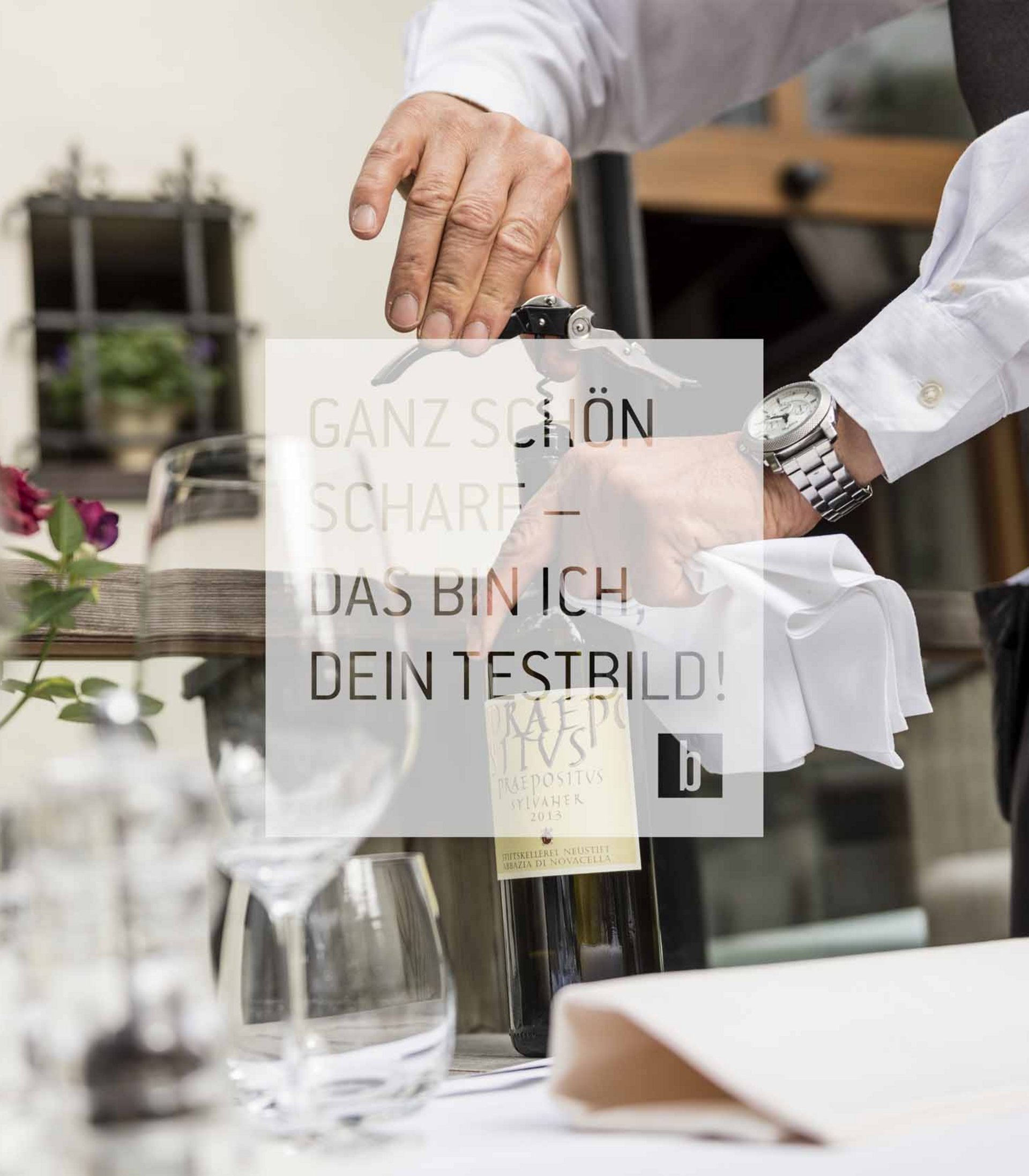 Wein Wein