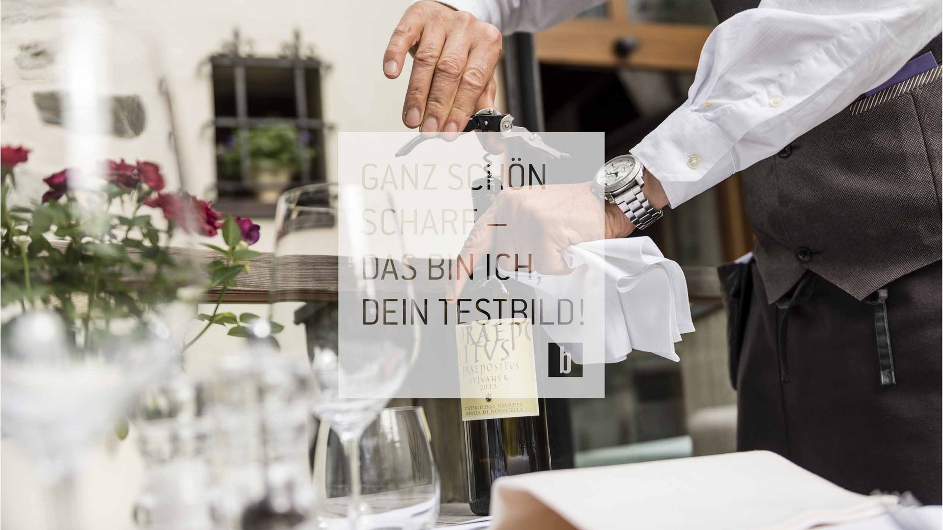 Wein Wein