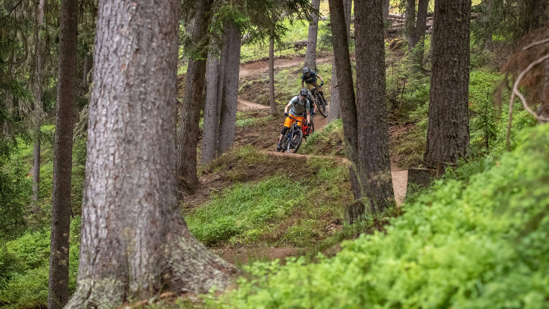 Two mountain bikers riding downhill on a narrow forest trail
