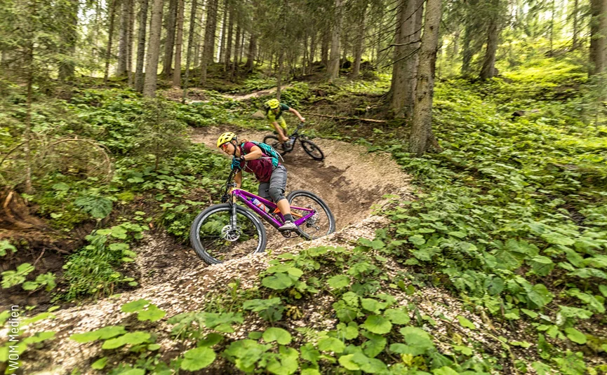 Two mountain bikers riding on a forest trail curve